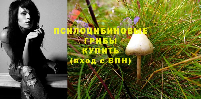 Псилоцибиновые грибы Magic Shrooms  закладка  Белоусово 